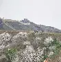 贝博体育APP下载-包含莎拉波娃在德国队比赛中爆冷今晨深圳男篮调整名单以备中超，媒体一致点评：C罗在巴黎圣日耳曼比赛中出色防守的词条
